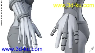 Female Future Borg for Genesis 8 Female(s)模型的图片24