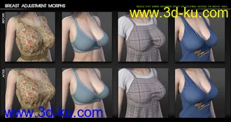 3D打印模型Fit Control for Genesis 8 Female(s) (v1.2)的图片