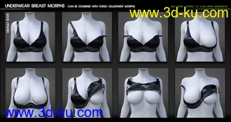 3D打印模型Fit Control for Genesis 8 Female(s) (v1.2)的图片