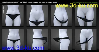 3D打印模型Fit Control for Genesis 8 Female(s) (v1.2)的图片