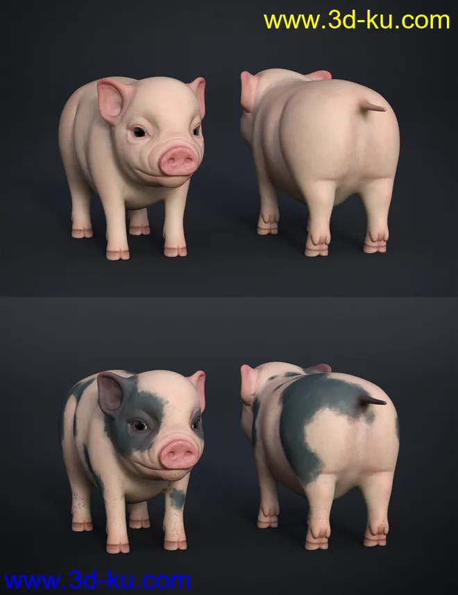 Fury The Piglet模型的图片5