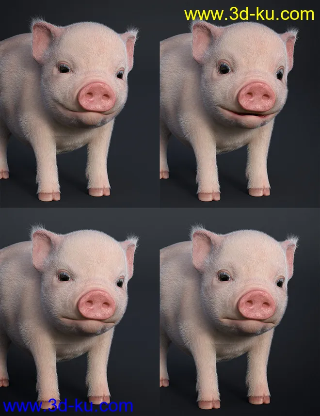 Fury The Piglet模型的图片6