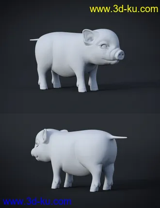 3D打印模型Fury The Piglet的图片