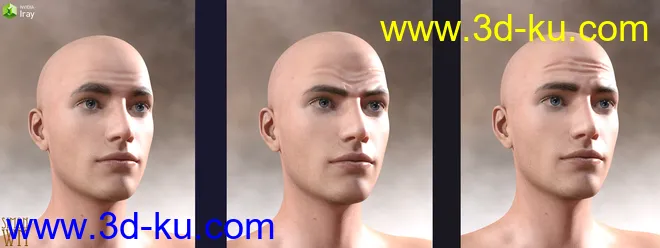Genesis 8 Male Facial Elasticity Morphs模型的图片3