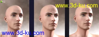 3D打印模型Genesis 8 Male Facial Elasticity Morphs的图片