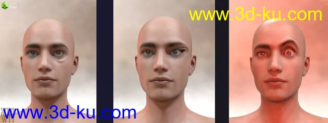 Genesis 8 Male Facial Elasticity Morphs模型的图片4