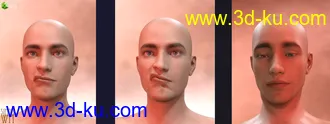 3D打印模型Genesis 8 Male Facial Elasticity Morphs的图片