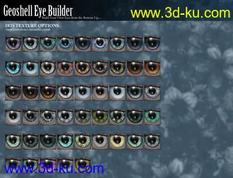 3D打印模型Geoshell Eye Builder for Genesis 8 Female的图片