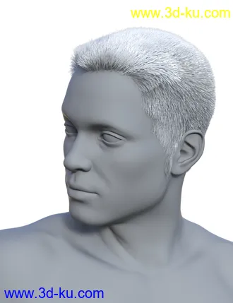 3D打印模型Harold and Hair for Genesis 8 Male的图片