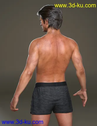 Holt 8模型的图片3