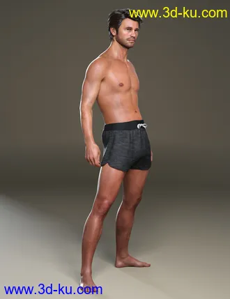 Holt 8模型的图片5