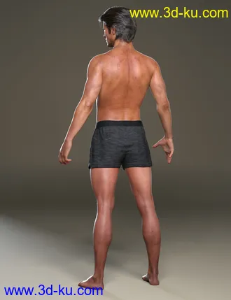 Holt 8模型的图片6