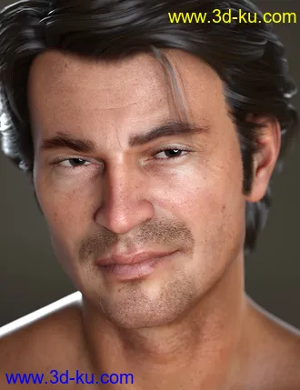 Holt 8模型的图片12