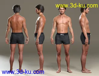 3D打印模型Holt 8的图片