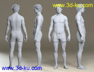 3D打印模型Holt 8的图片