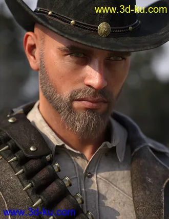 Holt 8模型的图片21