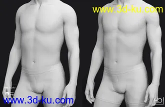 3D打印模型Holt 8 HD Add-On的图片