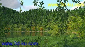 3D打印模型Lake Muirné的图片