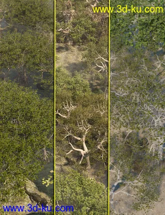 3D打印模型Low Resolution Tropical Trees and Shrubs的图片