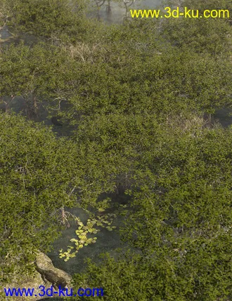 3D打印模型Low Resolution Tropical Trees and Shrubs的图片