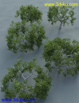 3D打印模型Low Resolution Tropical Trees and Shrubs的图片