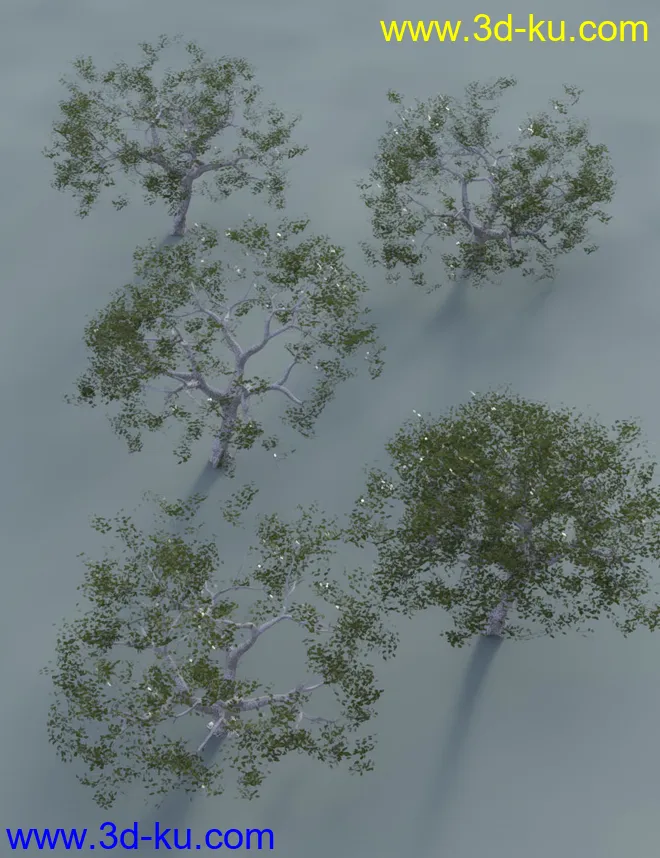 Low Resolution Tropical Trees and Shrubs模型的图片9