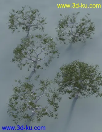 3D打印模型Low Resolution Tropical Trees and Shrubs的图片