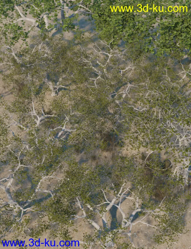 Low Resolution Tropical Trees and Shrubs模型的图片13