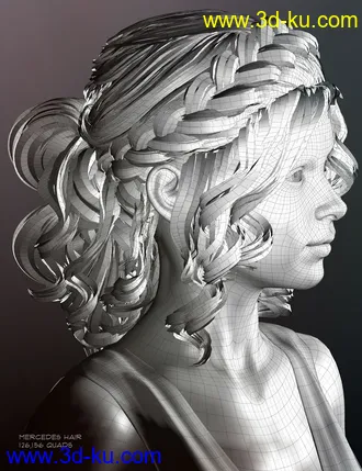 3D打印模型Mercedes Hair for Genesis 3 and 8 Female(s)的图片