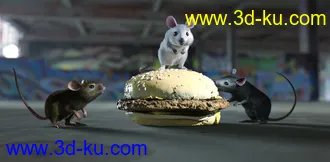 3D打印模型Mouse by AM的图片