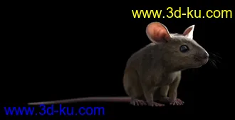 3D打印模型Mouse by AM的图片