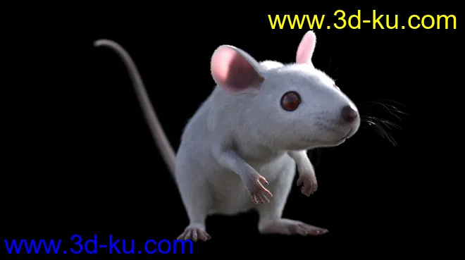 Mouse by AM模型的图片6