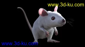 3D打印模型Mouse by AM的图片