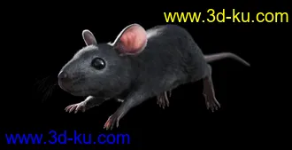 3D打印模型Mouse by AM的图片