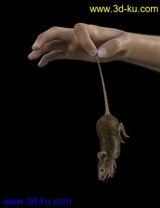 3D打印模型Mouse by AM的图片