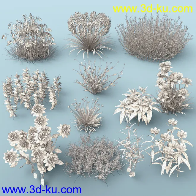 My Beautiful Plants模型的图片8