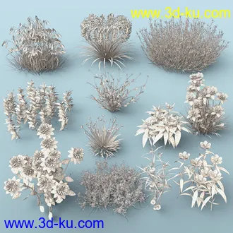3D打印模型My Beautiful Plants的图片