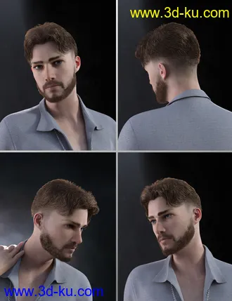 3D打印模型Nathan Fade Haircut and Beard for Genesis 8 Male(s)的图片
