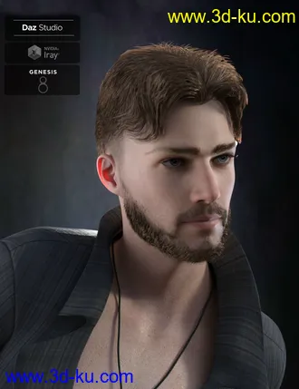 3D打印模型Nathan Fade Haircut and Beard for Genesis 8 Male(s)的图片