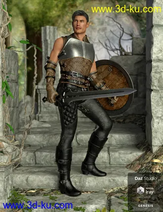 3D打印模型Paladin of Solitude Outfit Textures的图片