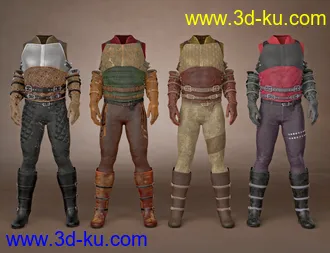 3D打印模型Paladin of Solitude Outfit Textures的图片