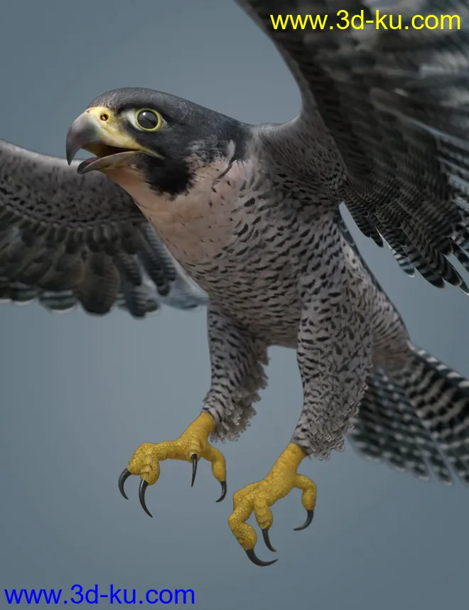 Peregrine Falcon for Deepsea's Eagle模型的图片2