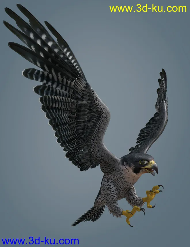 Peregrine Falcon for Deepsea's Eagle模型的图片5