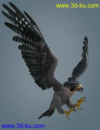 3D打印模型Peregrine Falcon for Deepsea's Eagle的图片