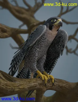 3D打印模型Peregrine Falcon for Deepsea's Eagle的图片
