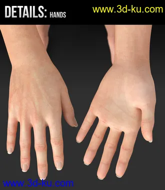 Rory HD for Genesis 8 Female模型的图片7