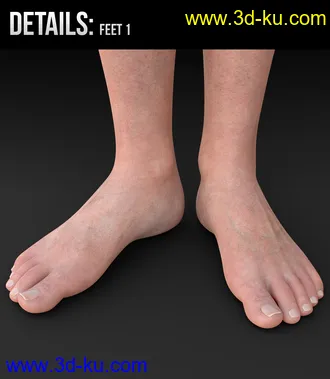 Rory HD for Genesis 8 Female模型的图片8