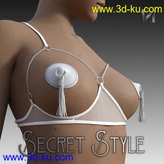 3D打印模型Secret Style 04的图片