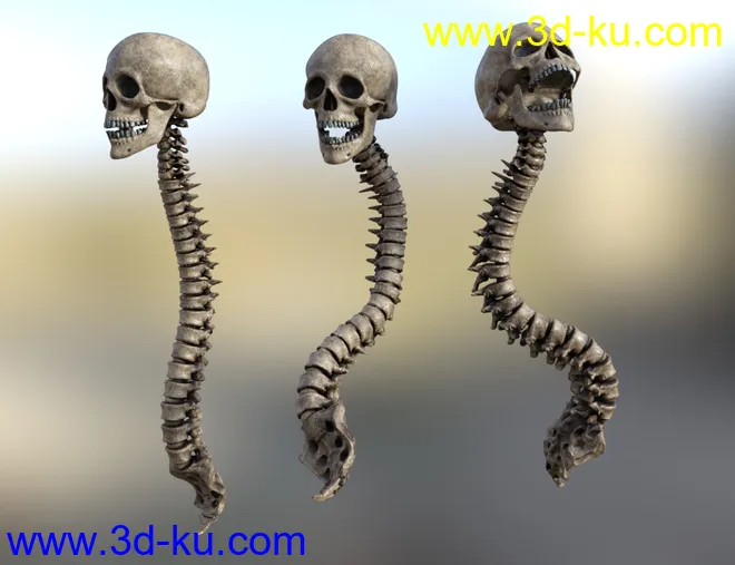 Skull n Spine模型的图片2