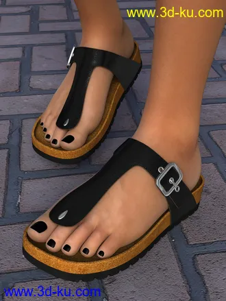 3D打印模型Summer Sandals Volume 1 for Genesis 2, Genesis 3 and Genesis 8 Female(s)的图片